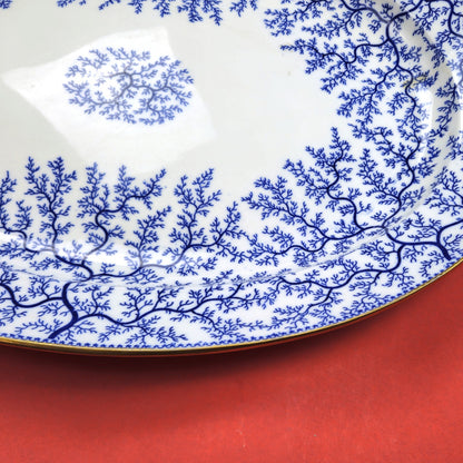 MINTON 1800s HAND PAINTED BLUE SEAWEED FIBRE PLATTER ENGLAND6