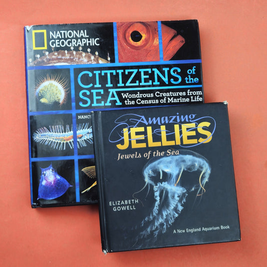 AMAZING JELLIES & NATIONAL GEOGRAPHIC CITIZENS OF THE SEA0