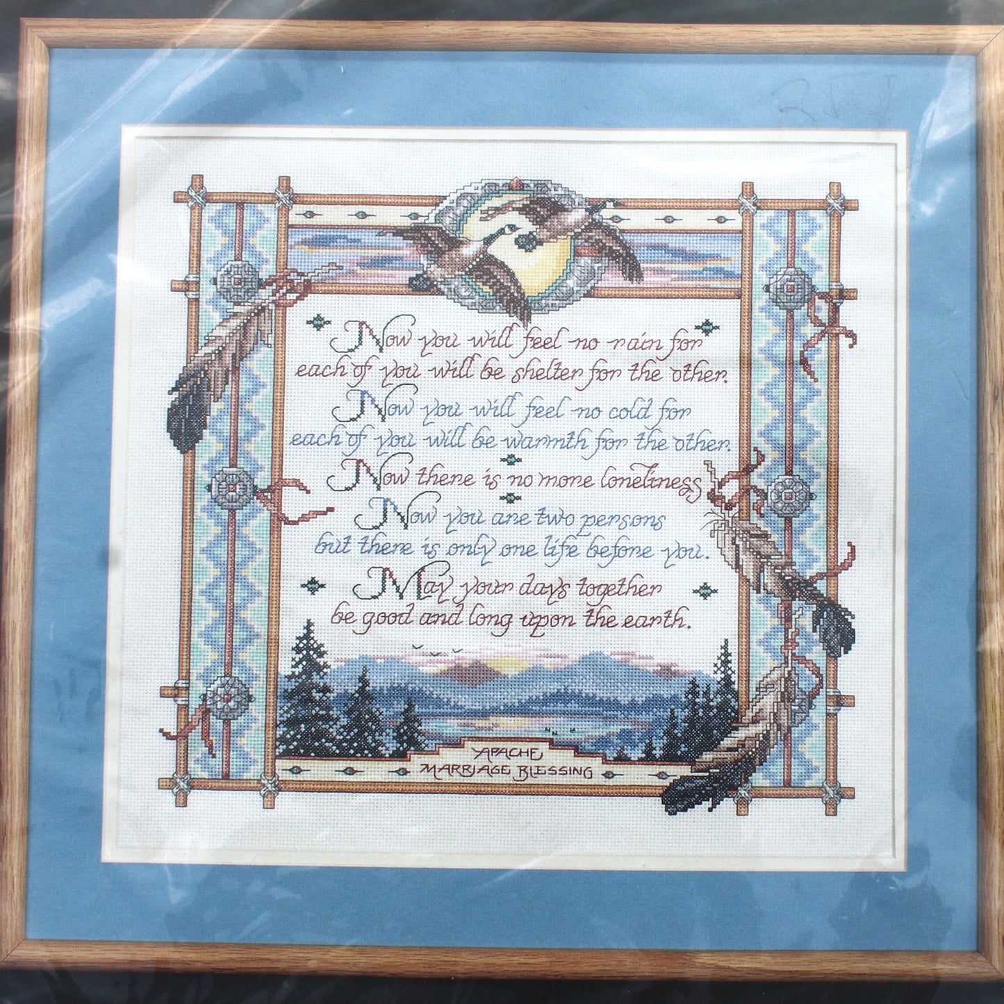 BUCILLA CROSS STITCH KIT:  APACHE MARRIAGE BLESSING   BM0