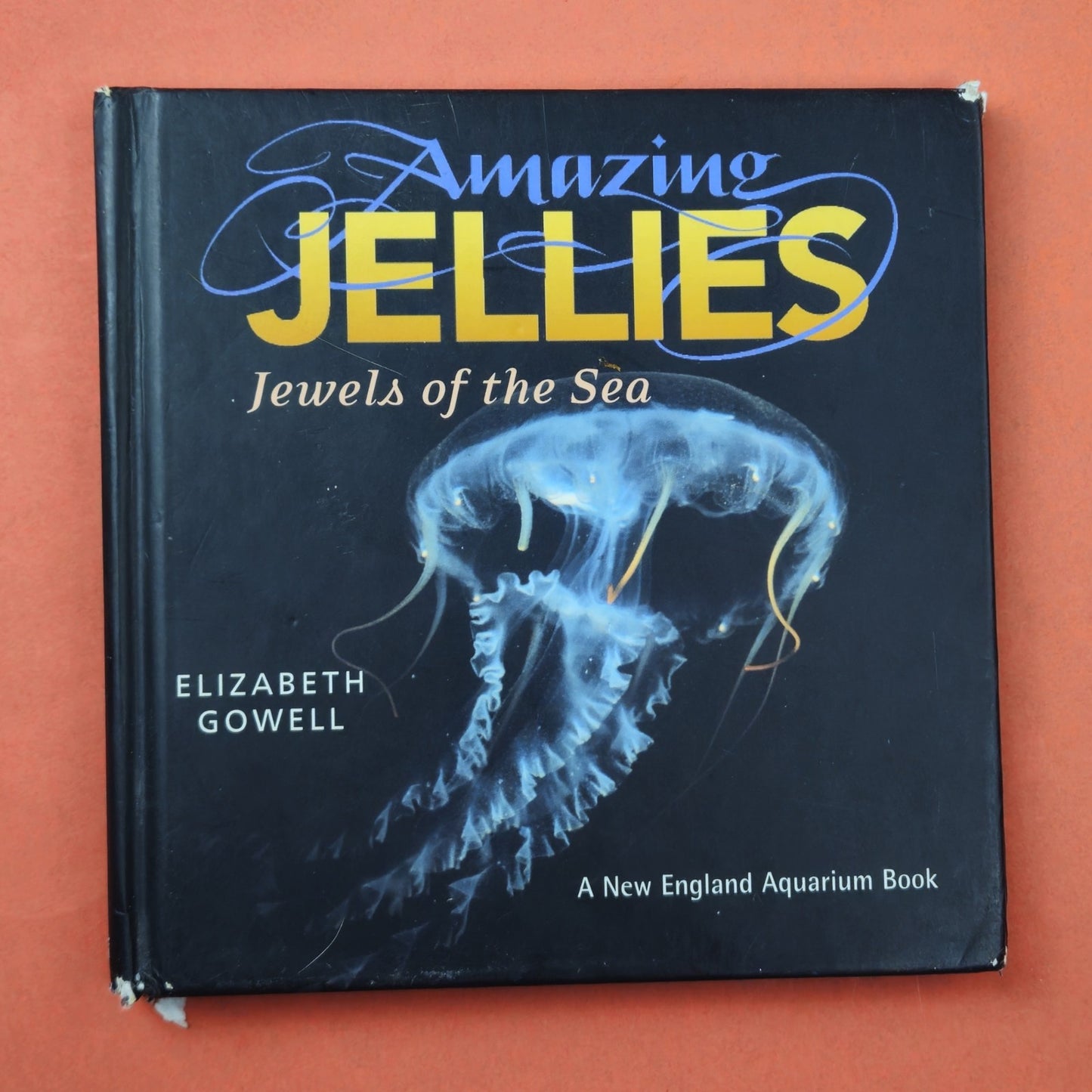 AMAZING JELLIES & NATIONAL GEOGRAPHIC CITIZENS OF THE SEA6