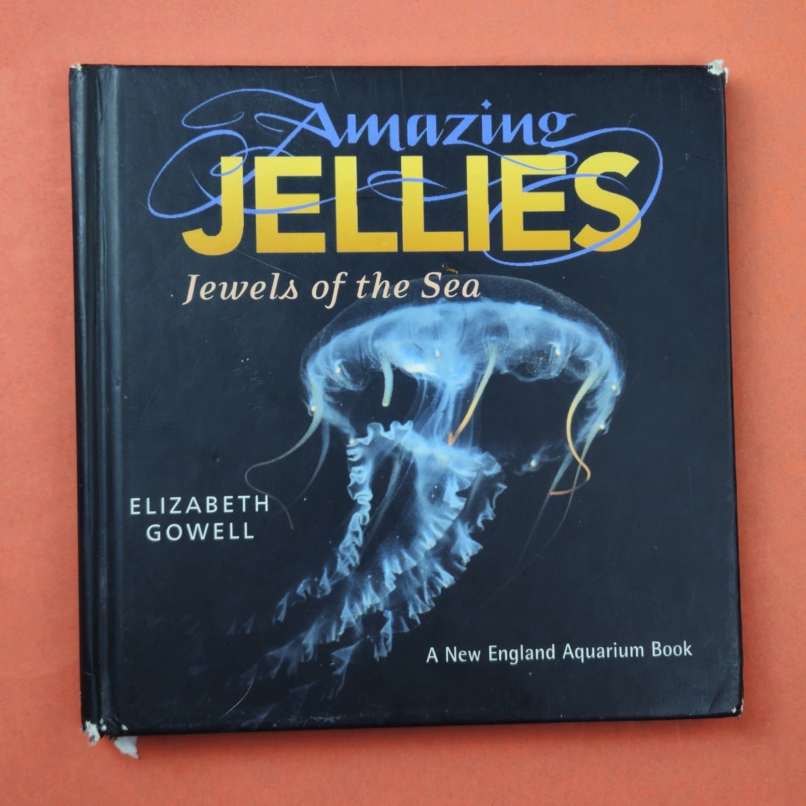AMAZING JELLIES & NATIONAL GEOGRAPHIC CITIZENS OF THE SEA6