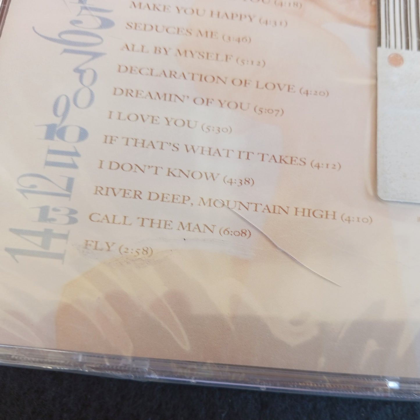1996 CELINE DION FALLING INTO YOU   CD   NEW  STOCKING STUFFER  LF2