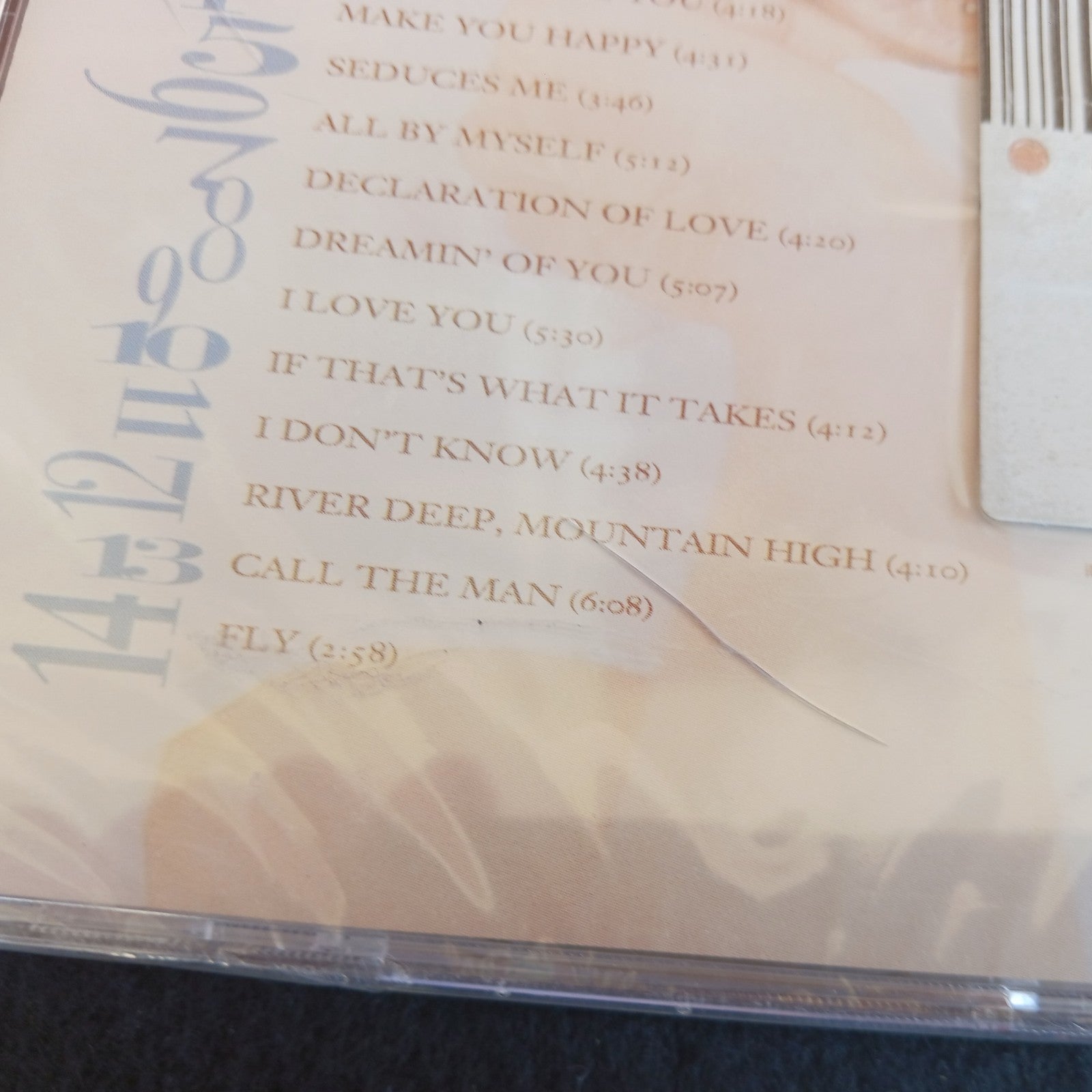 1996 CELINE DION FALLING INTO YOU   CD   NEW  STOCKING STUFFER  LF2