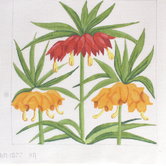 SUSAN ROBERTS HP NEEDLEPOINT CANVAS: CROWN IMPERIAL FRITILLARIA FLOWER GG0