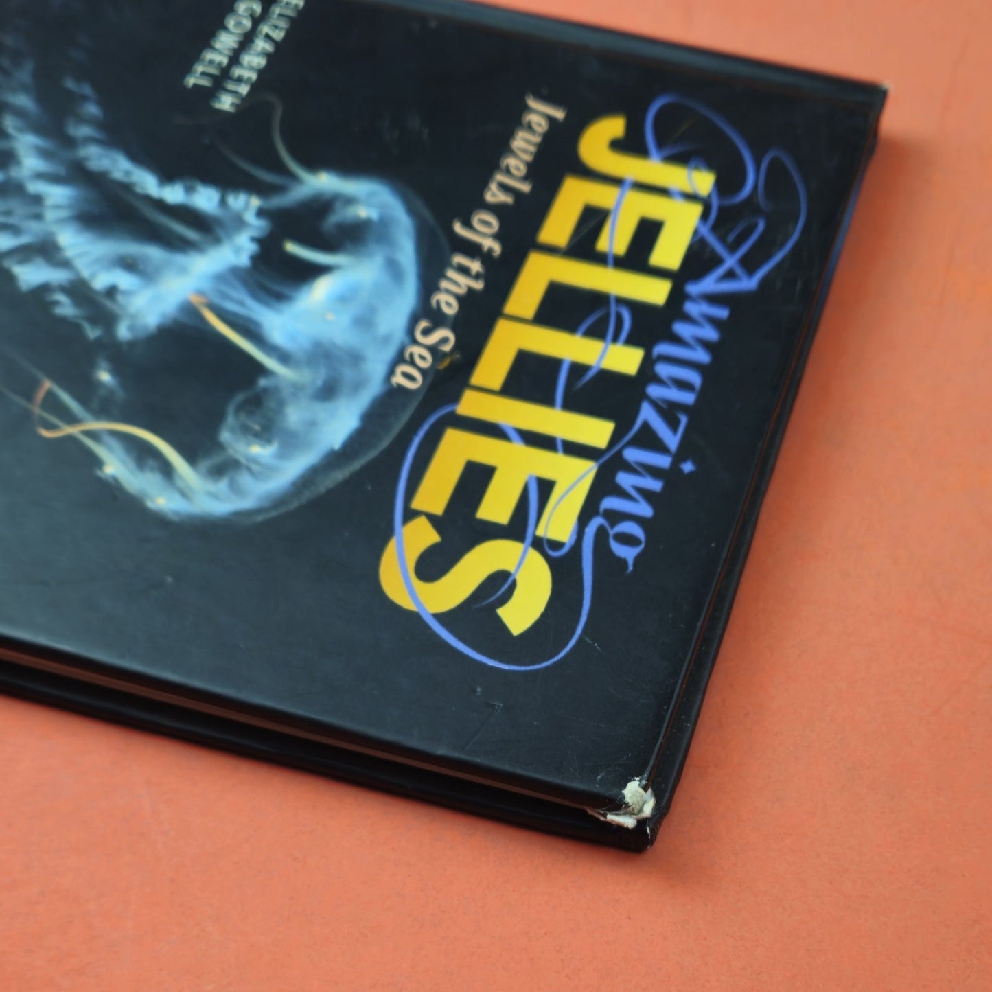 AMAZING JELLIES & NATIONAL GEOGRAPHIC CITIZENS OF THE SEA8