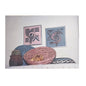 OOAK STITCHIN' FOOT CROSS STITCH KITS:  HOPI RAIN BIRD SPIRITS SOUTHWEST    BM0