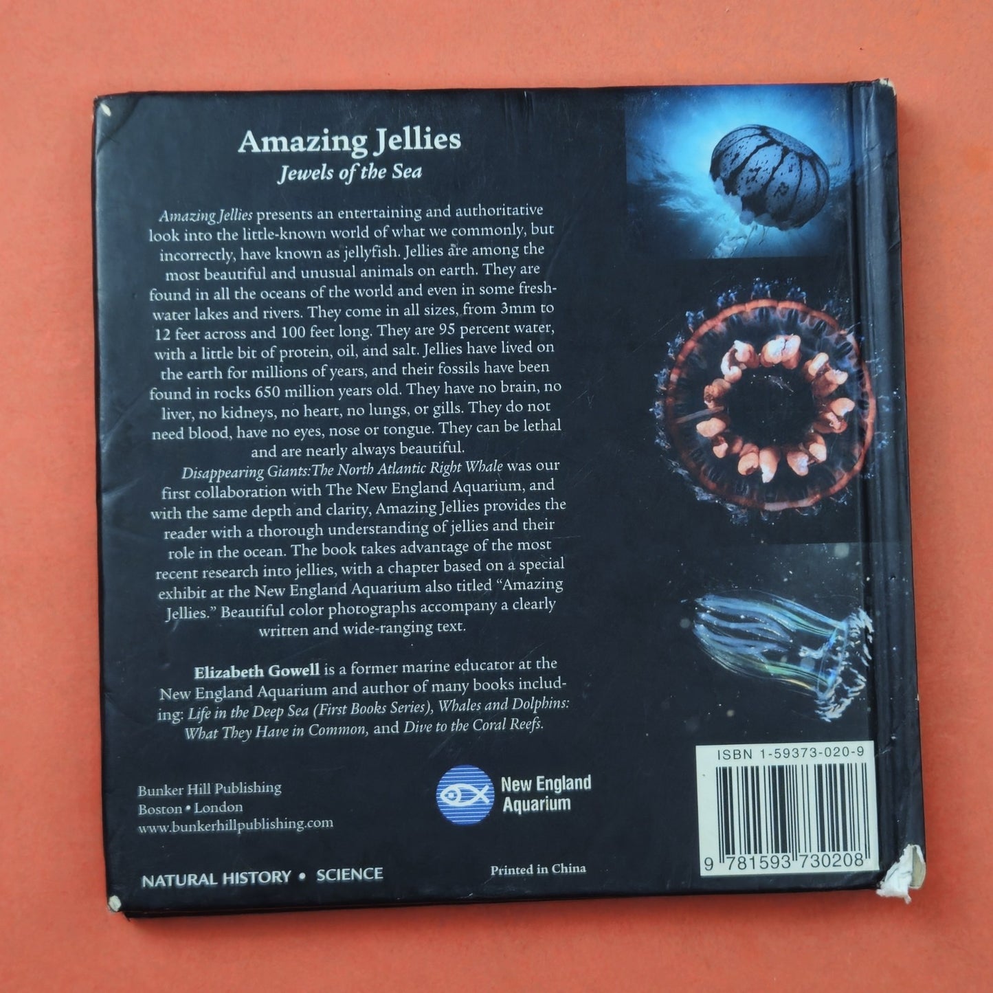AMAZING JELLIES & NATIONAL GEOGRAPHIC CITIZENS OF THE SEA7