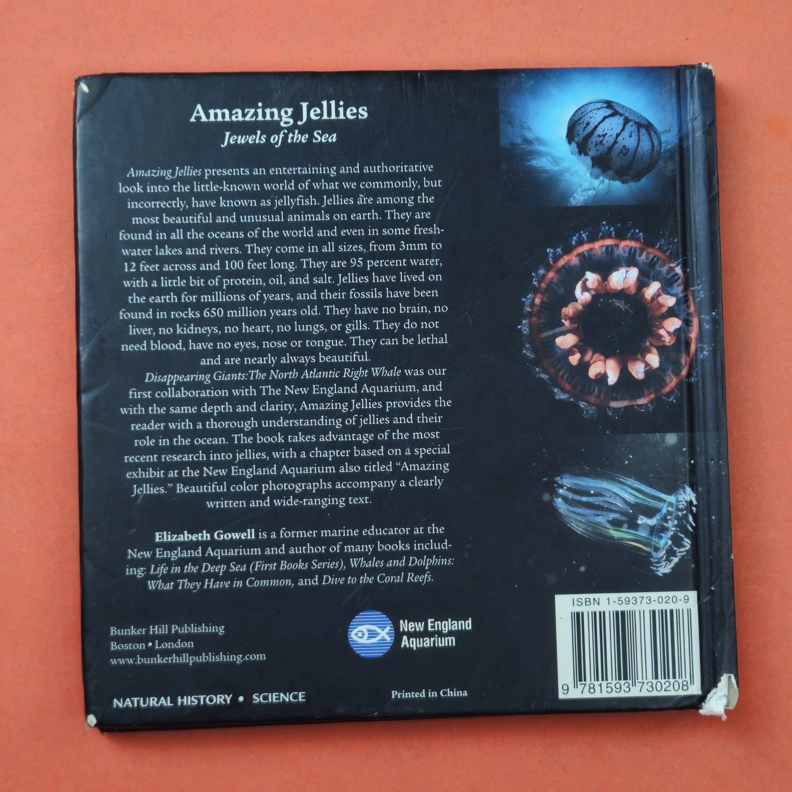 AMAZING JELLIES & NATIONAL GEOGRAPHIC CITIZENS OF THE SEA7