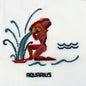 MADEIRA LUXURY PREWORKED NEEDLEPOINT CANVAS:  ASTROLOGY ZODIAC SIGN AQUARIUS  BM0