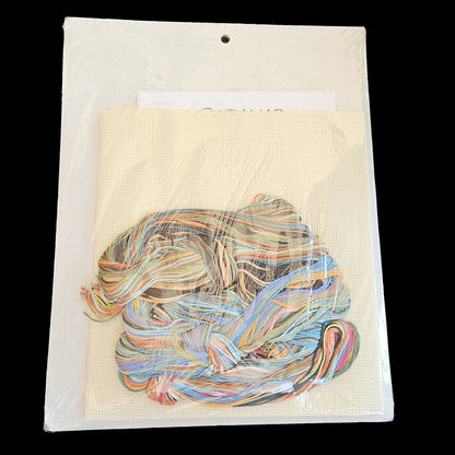 CANDAMAR DESIGNS ABSTRACTIONS CROSS STITCH KIT:  SOUL    BM1
