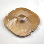 LONGABERGER 2005 TREE TRIMMING TINSEL BASKET - LID ONLY     NEW0