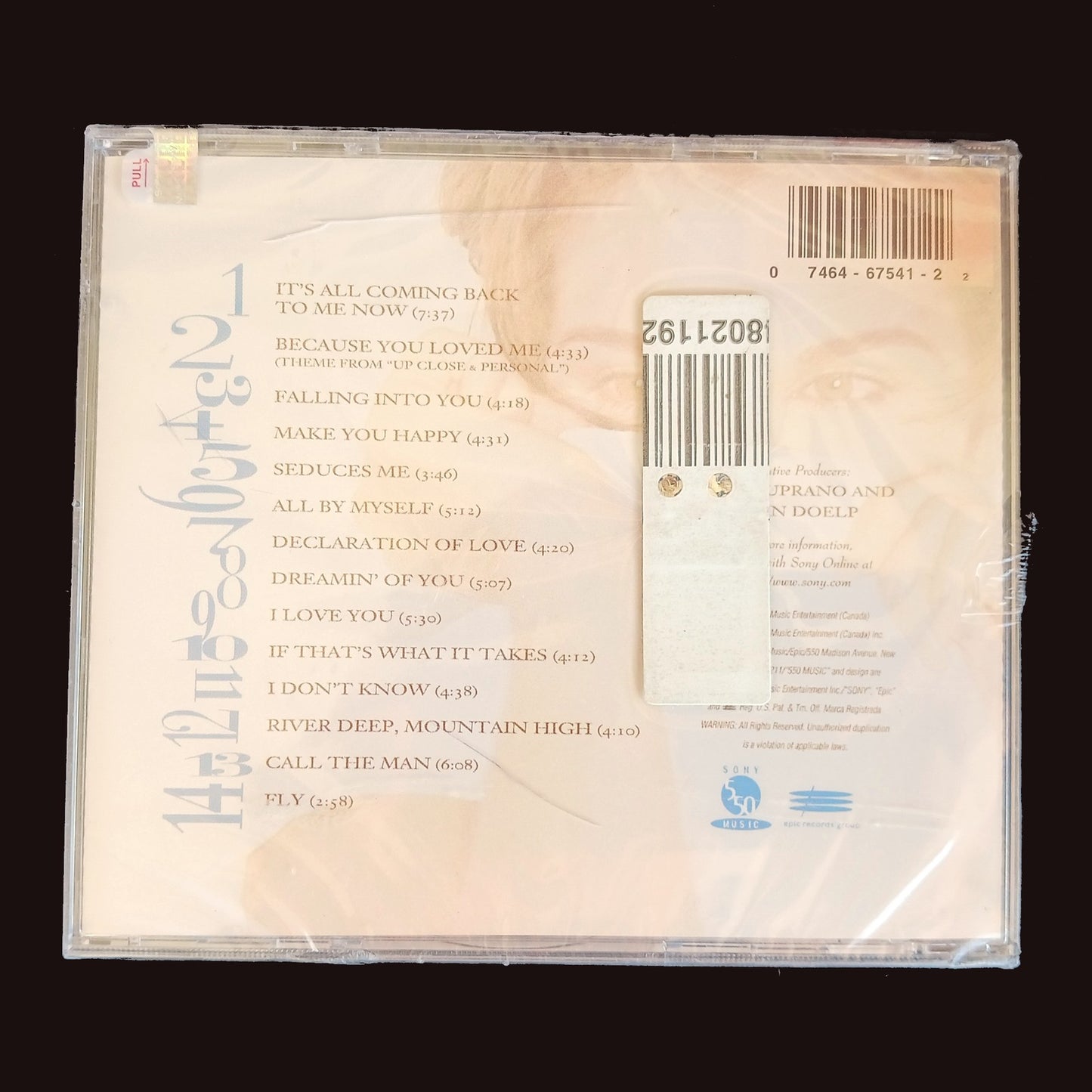 1996 CELINE DION FALLING INTO YOU   CD   NEW  STOCKING STUFFER  LF1