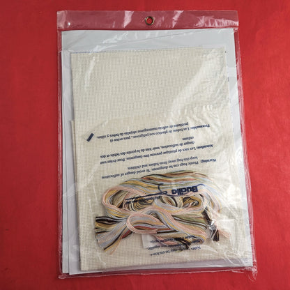 BUCILLA COUNTED CROSS STITCH KIT: HAPPY DREAMS BABY BIRTH RECORD   SL1